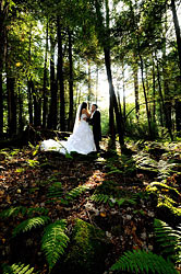 Swallow Falls Wedding