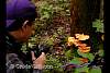 DSCN0447.jpg