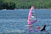 DSCN8568.jpg