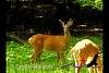 DSCN9140.jpg