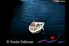 DSCN9836.jpg