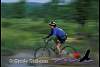 a_mtn_biker2.jpg