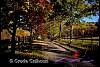 fall_country_road.jpg