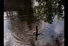 river_boy.jpg