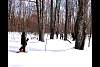 snowshoeing_3.jpg
