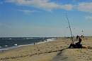 assateague_beach_4.jpg