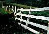 morgantownrd_fence.jpg